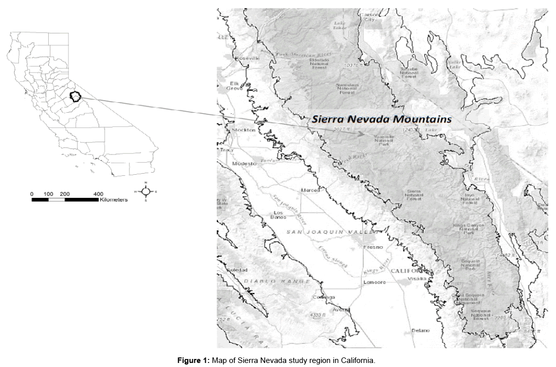 biodiversity-management-forestry-sierra-nevada