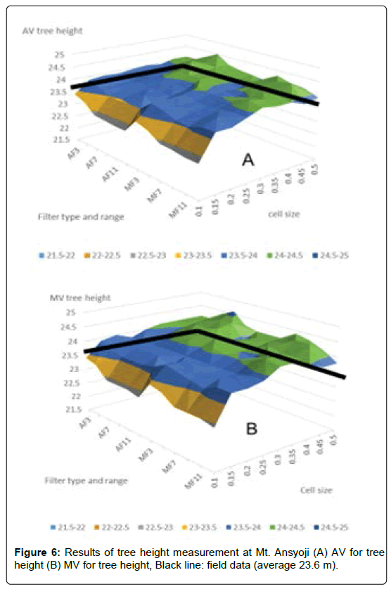 biodiversity-management-forestry-tree-height