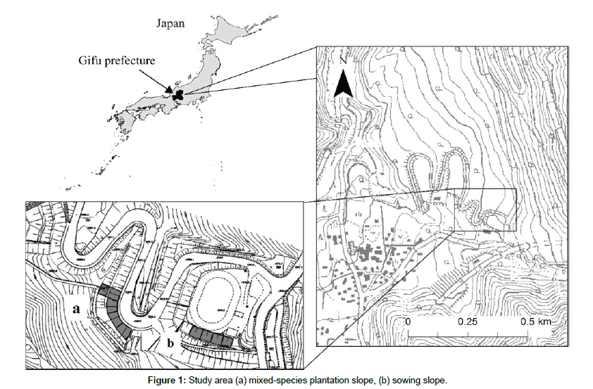 biodiversity-management-plantation-slope