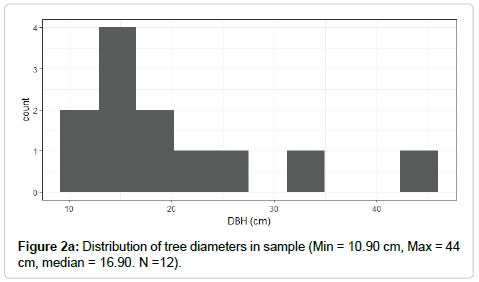 biodiversity-management-tree-diameters