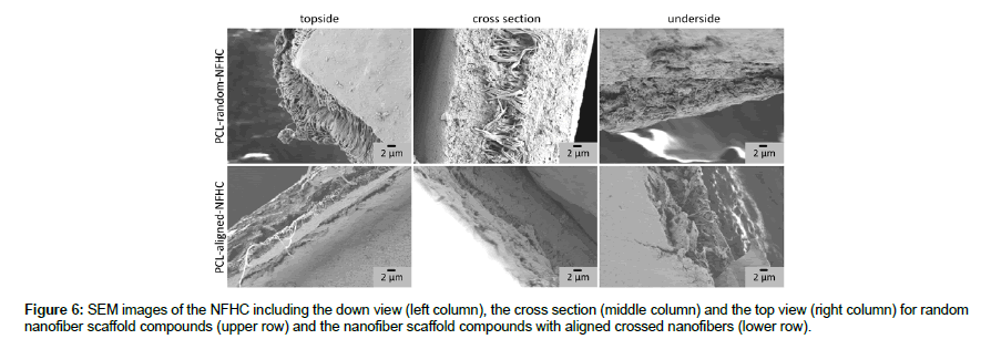 biomaterials-medical-applications-cross-section