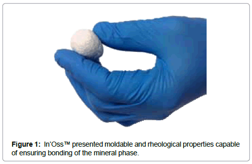 biomaterials-medical-applications-mineral-phase