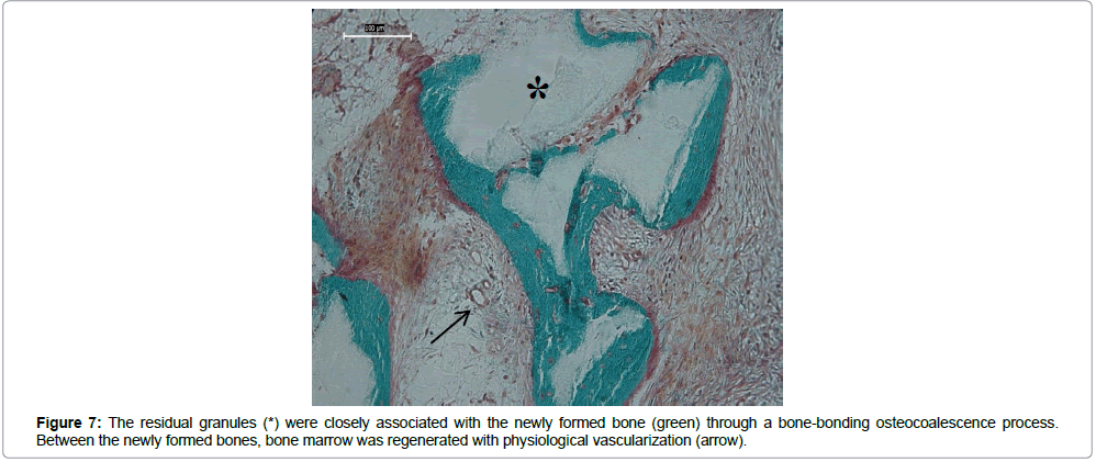 biomaterials-medical-applications-mineral-phase