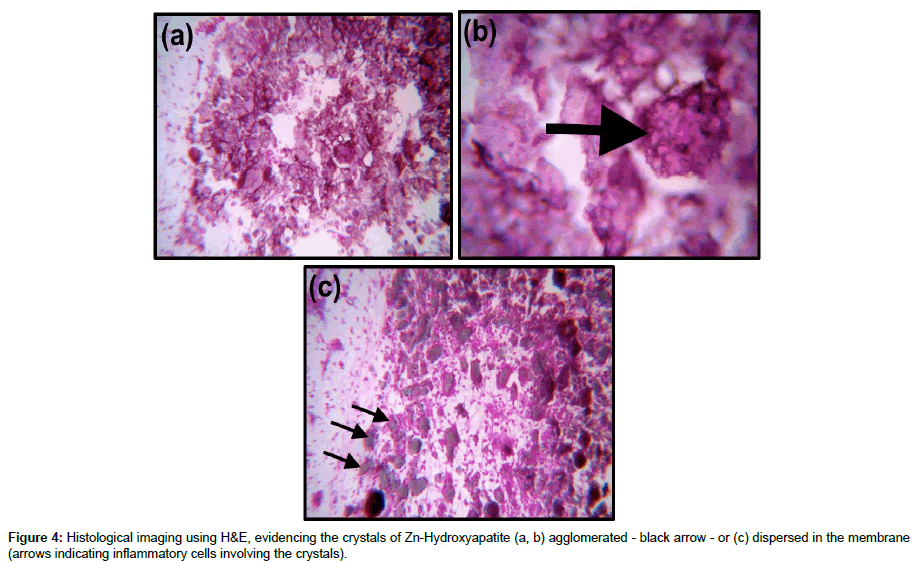 biomaterials-medical-black-arrow