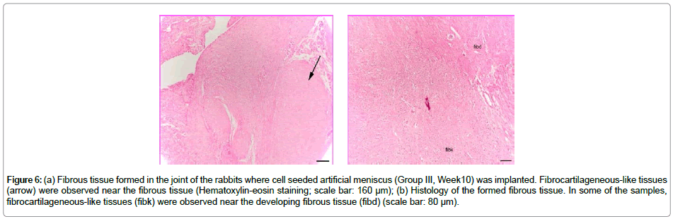 biomaterials-medical-cell-seeded