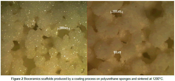 biomaterials-medical-coating-process