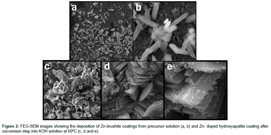 biomaterials-medical-conversion-step