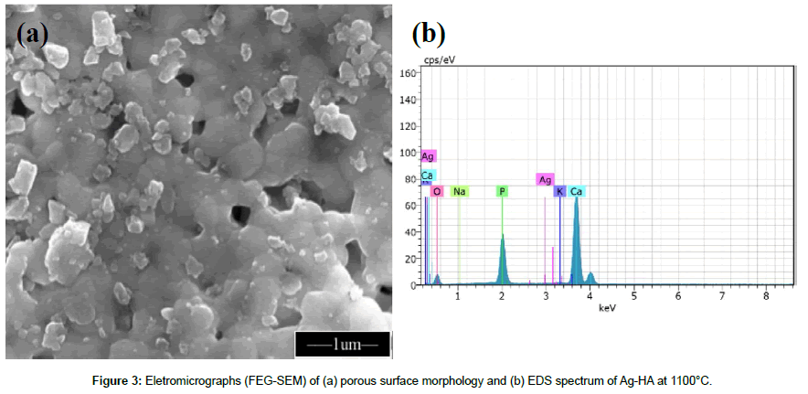 biomaterials-medical-porous-surface