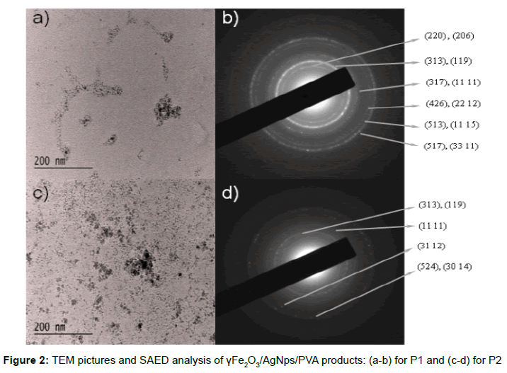 biomedical-innovation-TEM-pictures