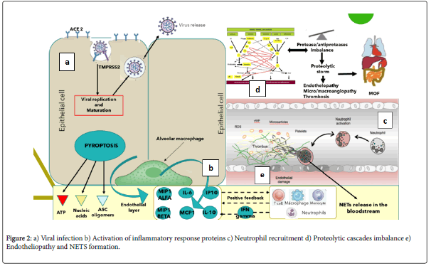 blood-research-hematologic-activation