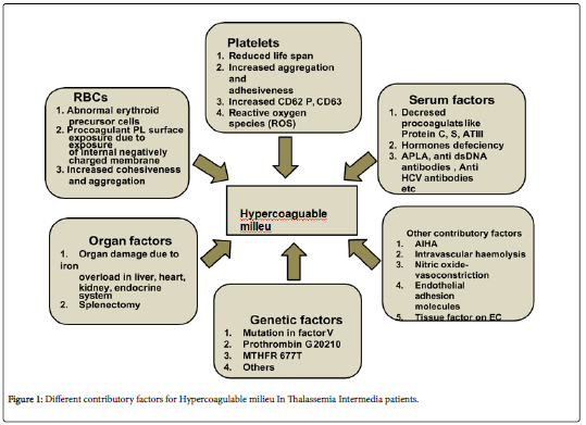 blood-research-hematologic-contributory