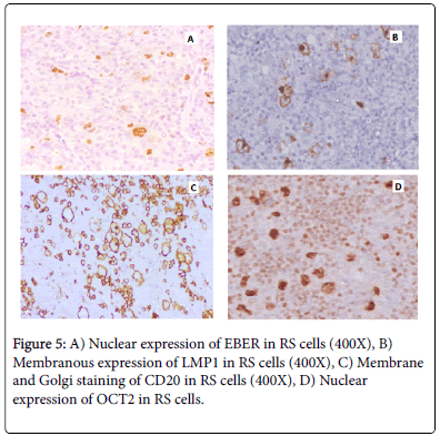 blood-research-hematologic-expression