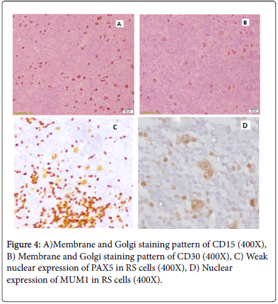 blood-research-hematologic-staining