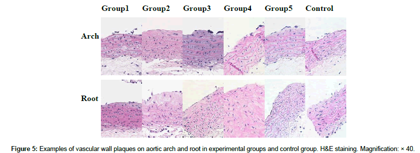cardiovascular-research-wall-plaques