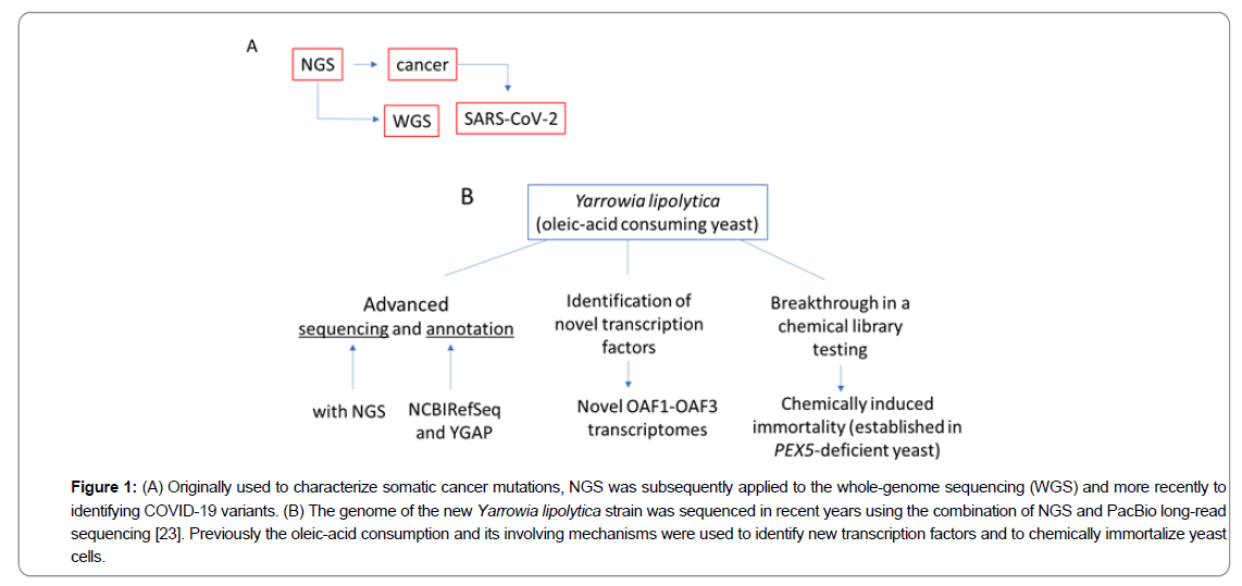 cell-biology-NGS