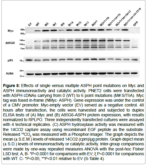 cell-biology-motility-tests