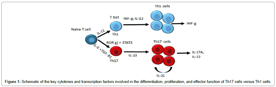 clinical-dermatology-key-cytokines