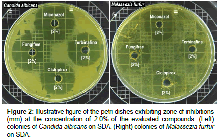 clinical-dermatology-petri-dishes