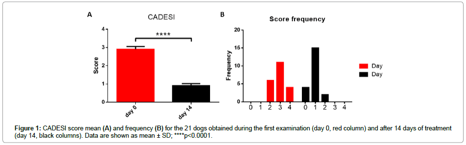 clinical-dermatology-score-mean