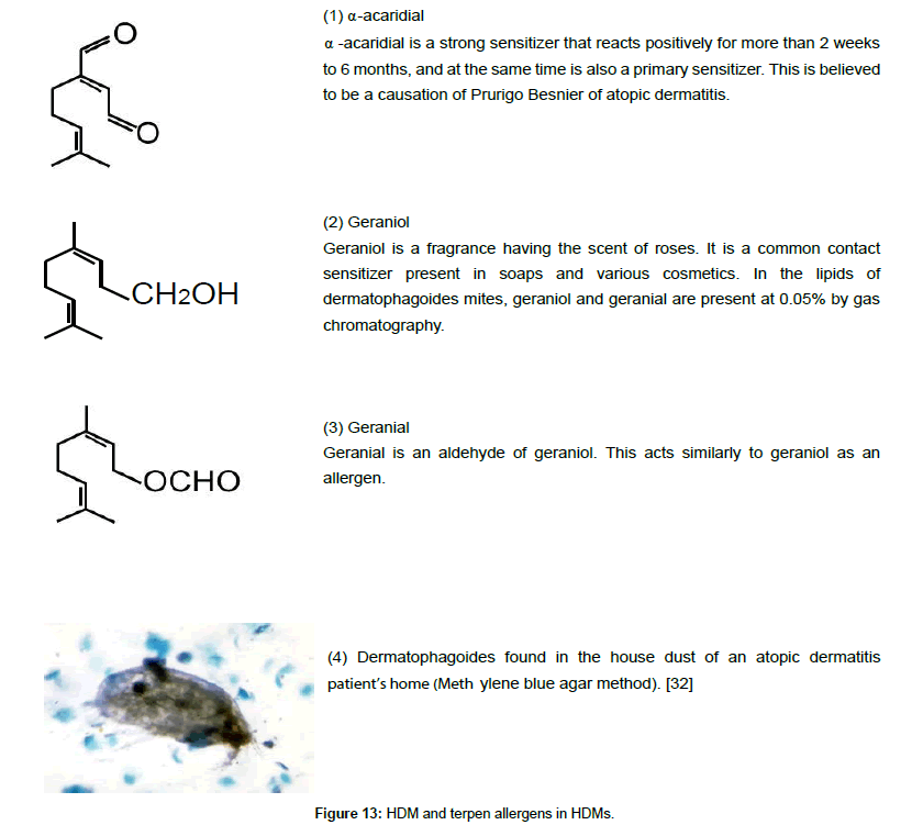 clinical-dermatology-terpen-allergens
