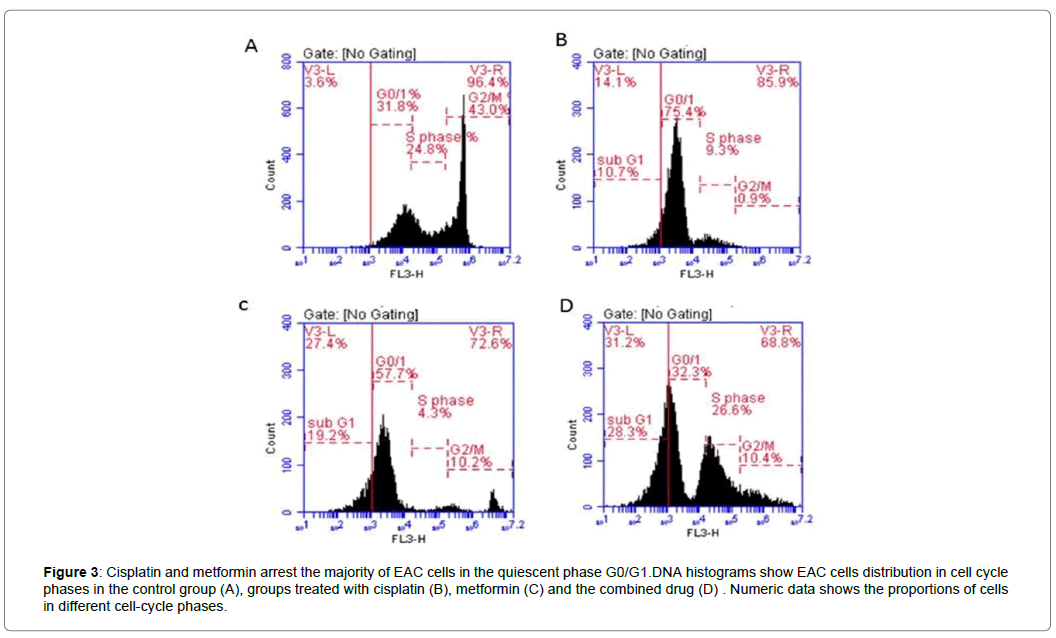 clinical-experimental-oncology-cisplatin