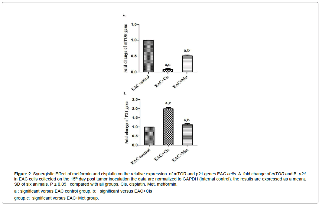 clinical-experimental-oncology-metformin