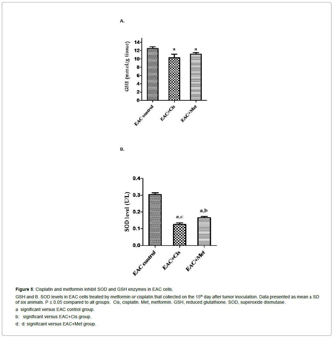 clinical-experimental-oncology-metformin-inhibit