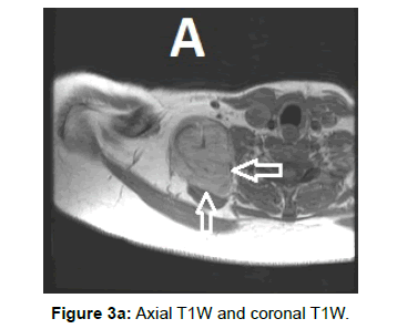 clinical-experimental-radiology-axial-coronal