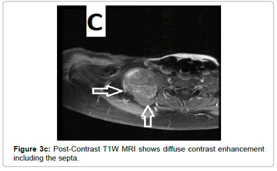 clinical-experimental-radiology-including-septa