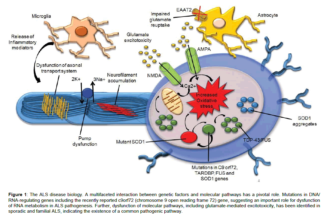 clinical-genomics-ALS-disease-biology