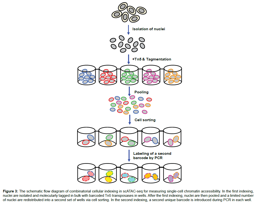 clinical-genomics-combinatorial-cellular