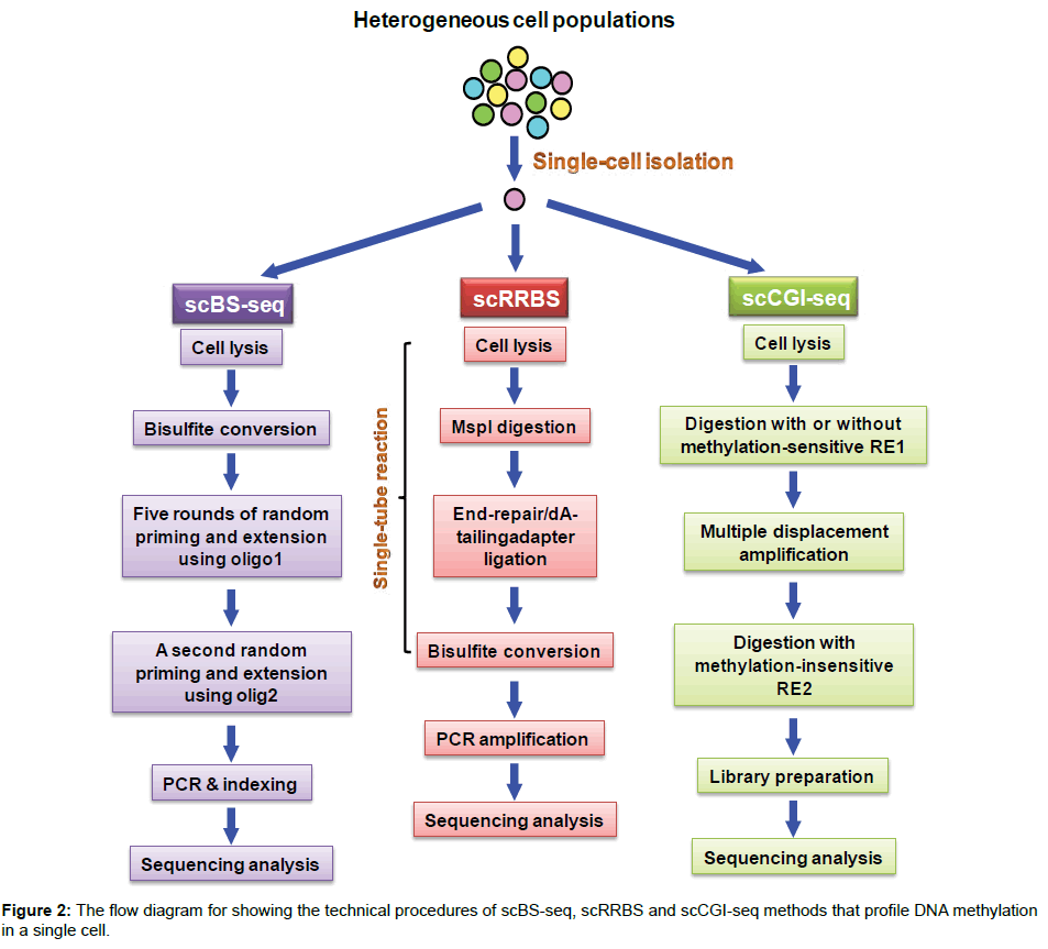 clinical-genomics-technical-procedures