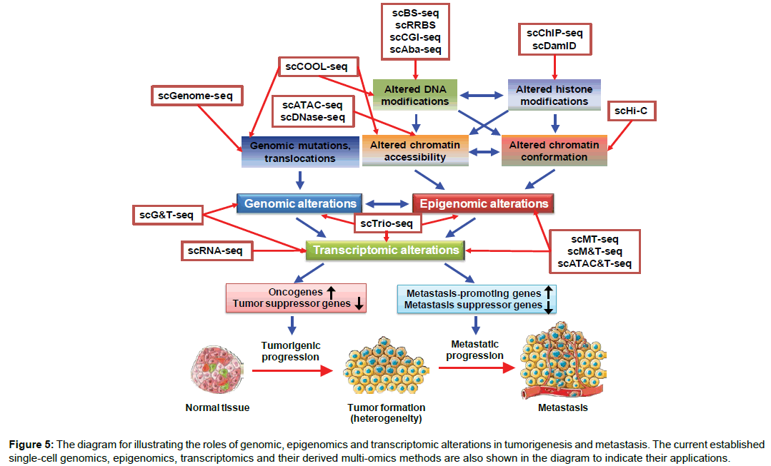 clinical-genomics-transcriptomic-alterations