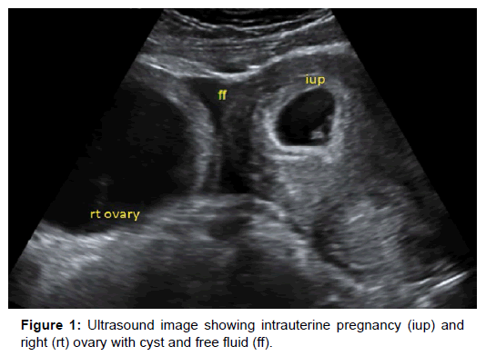 clinical-images-case-reports-intrauterine-pregnancy