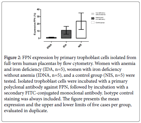 clinical-nutrition-metabolism-FPN-expression