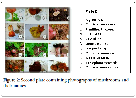 clinical-nutrition-metabolism-Second-plate