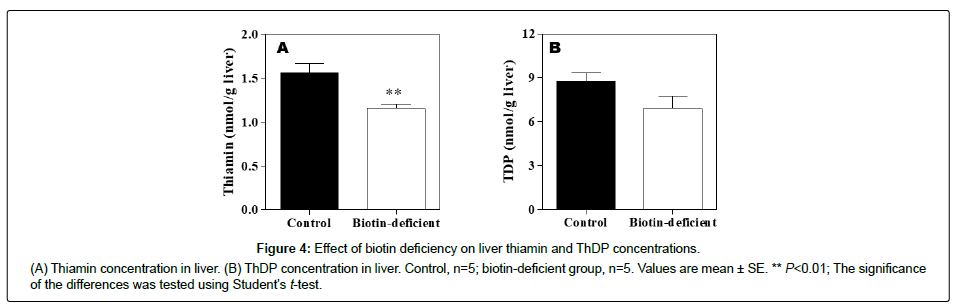 clinical-nutrition-metabolism-liver-thiamin