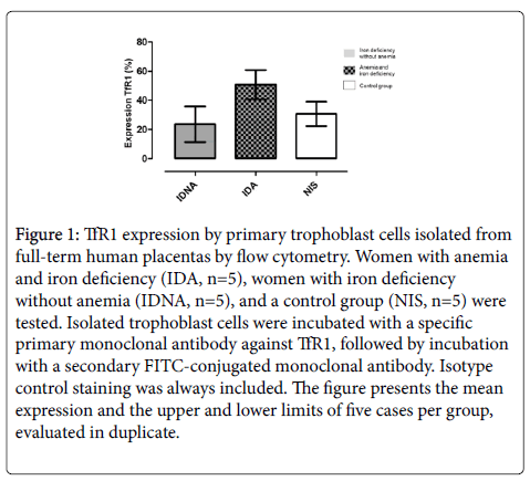 clinical-nutrition-metabolism-primary-trophoblast