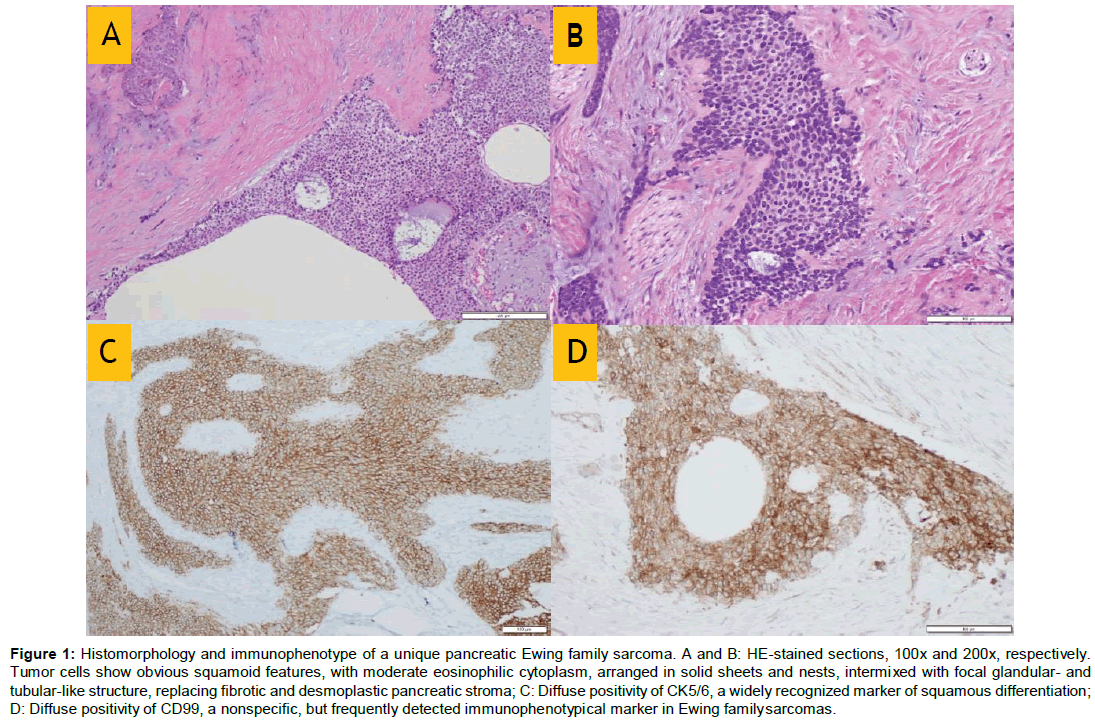 clinical-oncology-Histomorphology