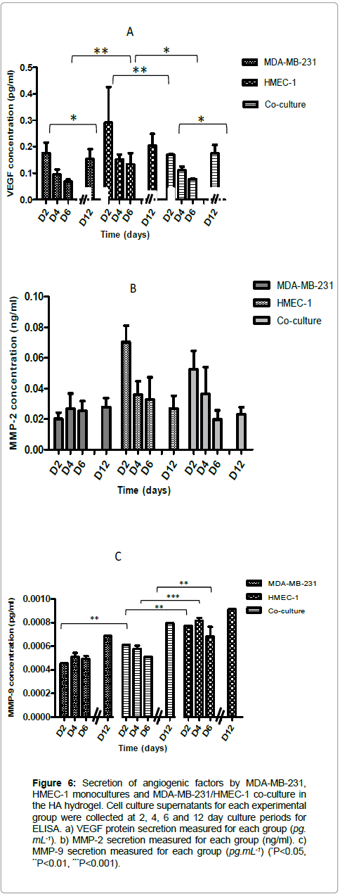 clinical-oncology-culture-periods
