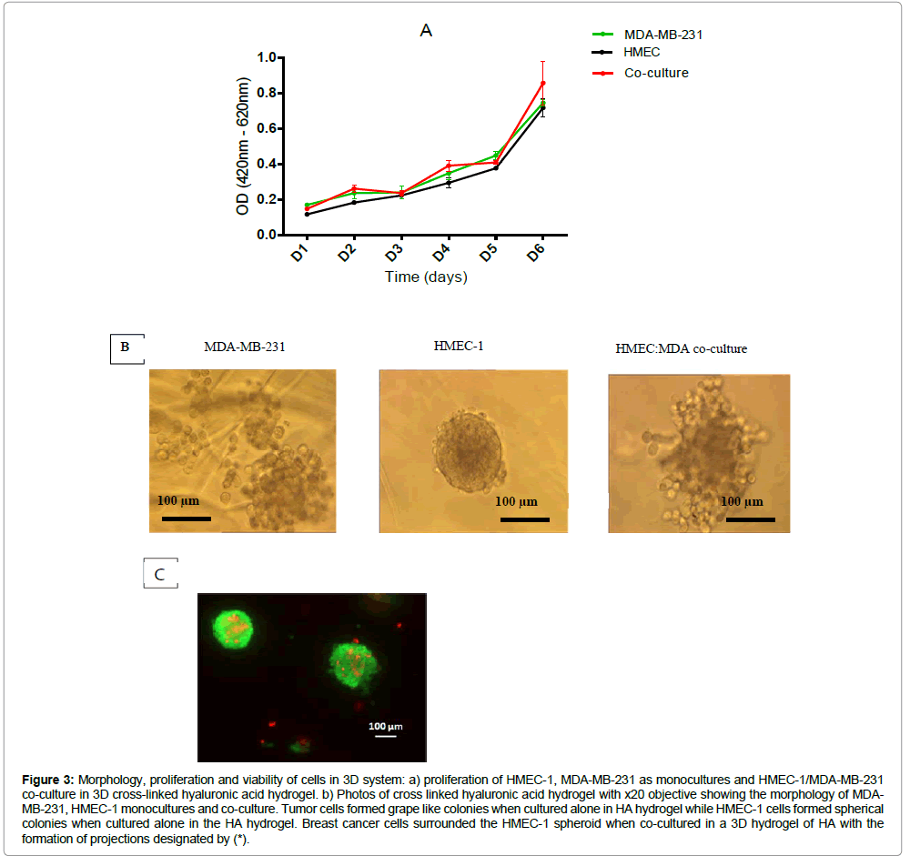 clinical-oncology-hydrogel-ratio