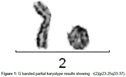 clinical-oncology-karyotype