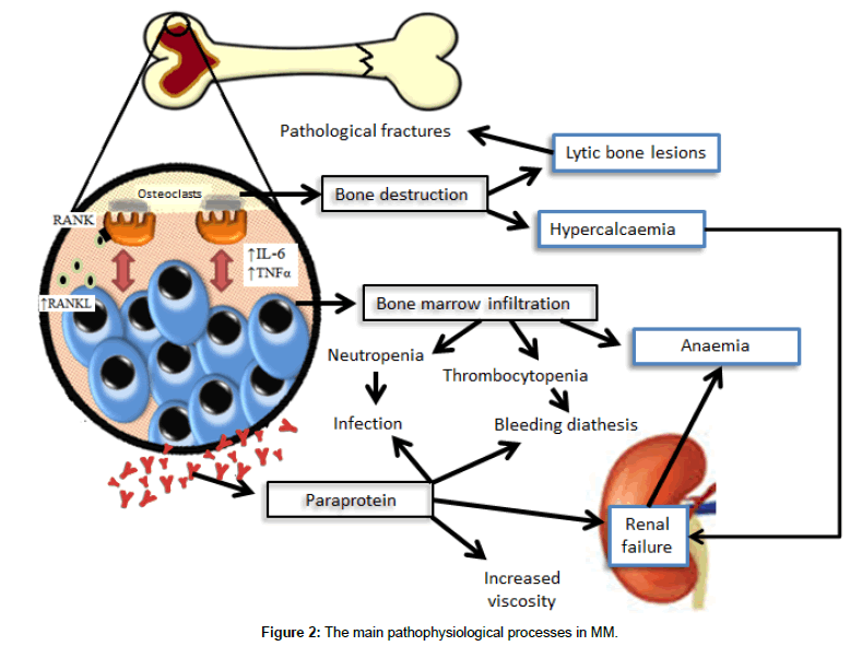 clinical-pathology-pathophysiological