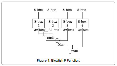 computer-engineering-information-technology-blowfish