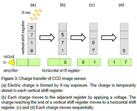 dental-health-Charge-transfer