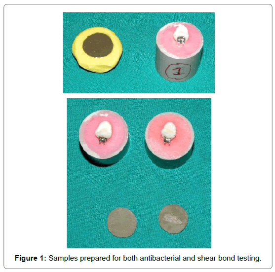 dental-health-Samples-prepared