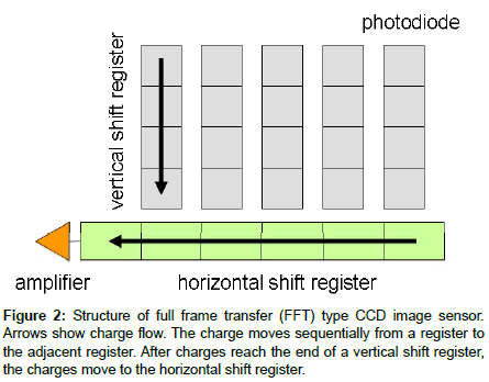 dental-health-full-frame