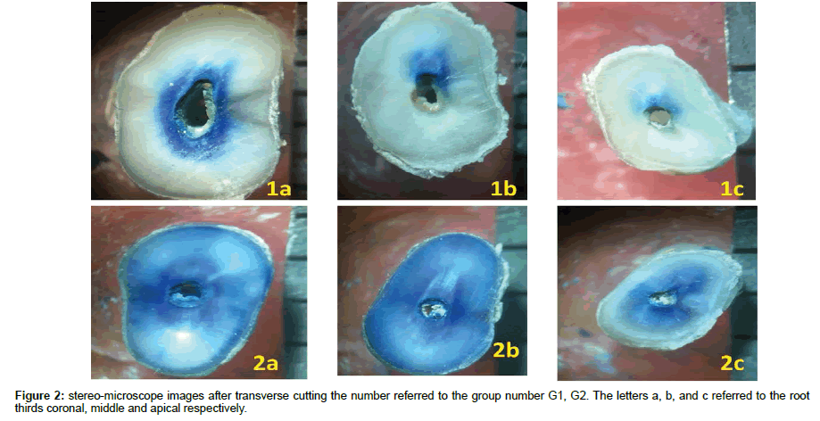 dental-health-group-number