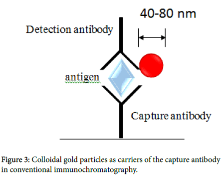 diagnostic-techniques-Colloidal-gold