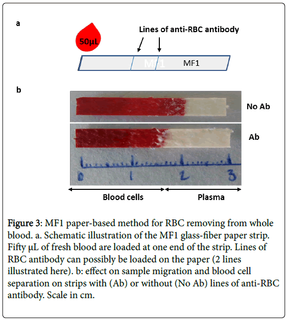 diagnostic-techniques-biomedical-analysis-loaded